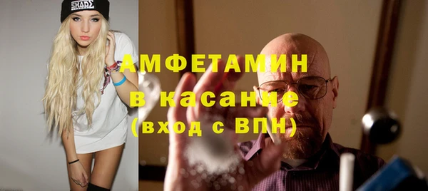 гидра Арсеньев