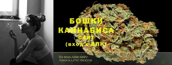 гидра Арсеньев
