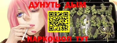 spice Аргун