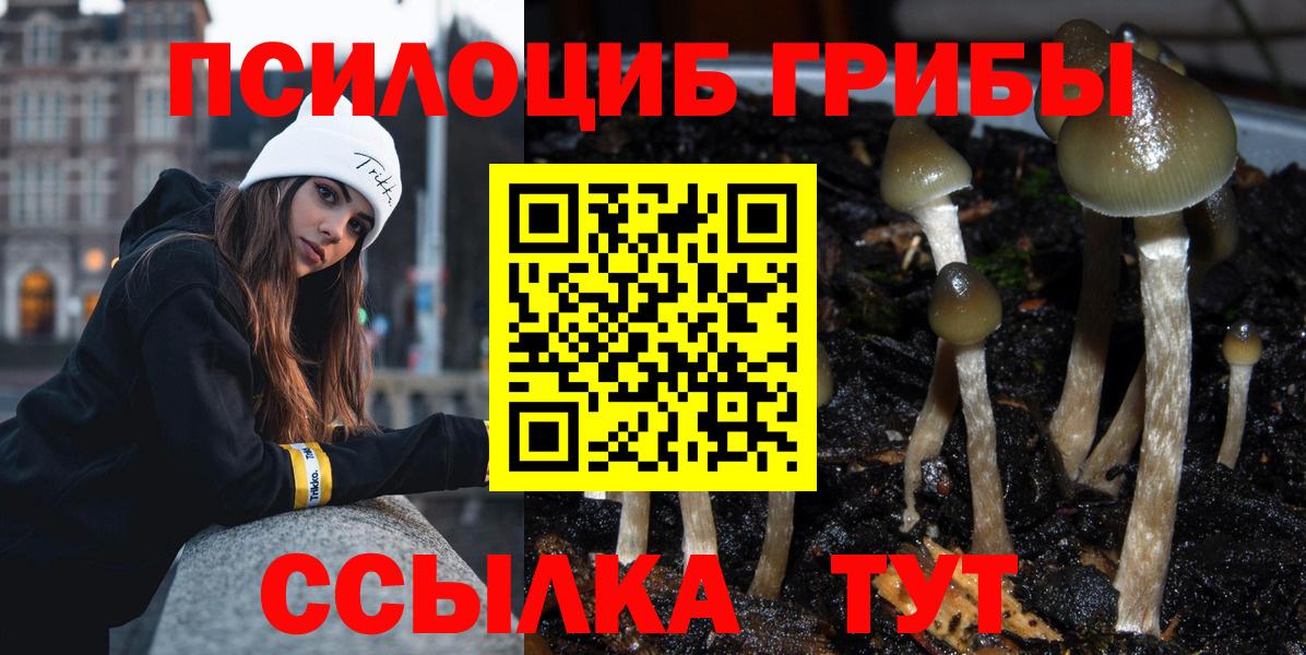 Галлюциногенные грибы Psilocybine cubensis  Псилоцибиновые грибы мухоморы  Асбест  Вход с VPN 